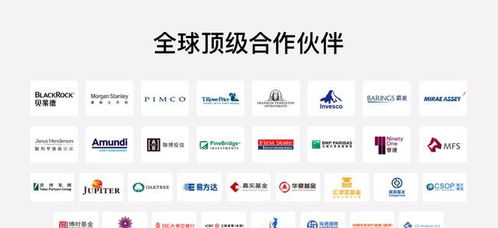 財富管理品牌全新升級 富途大象財富布局全球資產(chǎn)配置